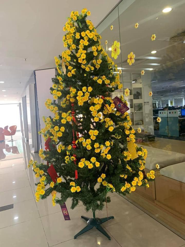 Tha cho cây thông Noel đi, Tết còn tận 3 tháng nữa mới đến