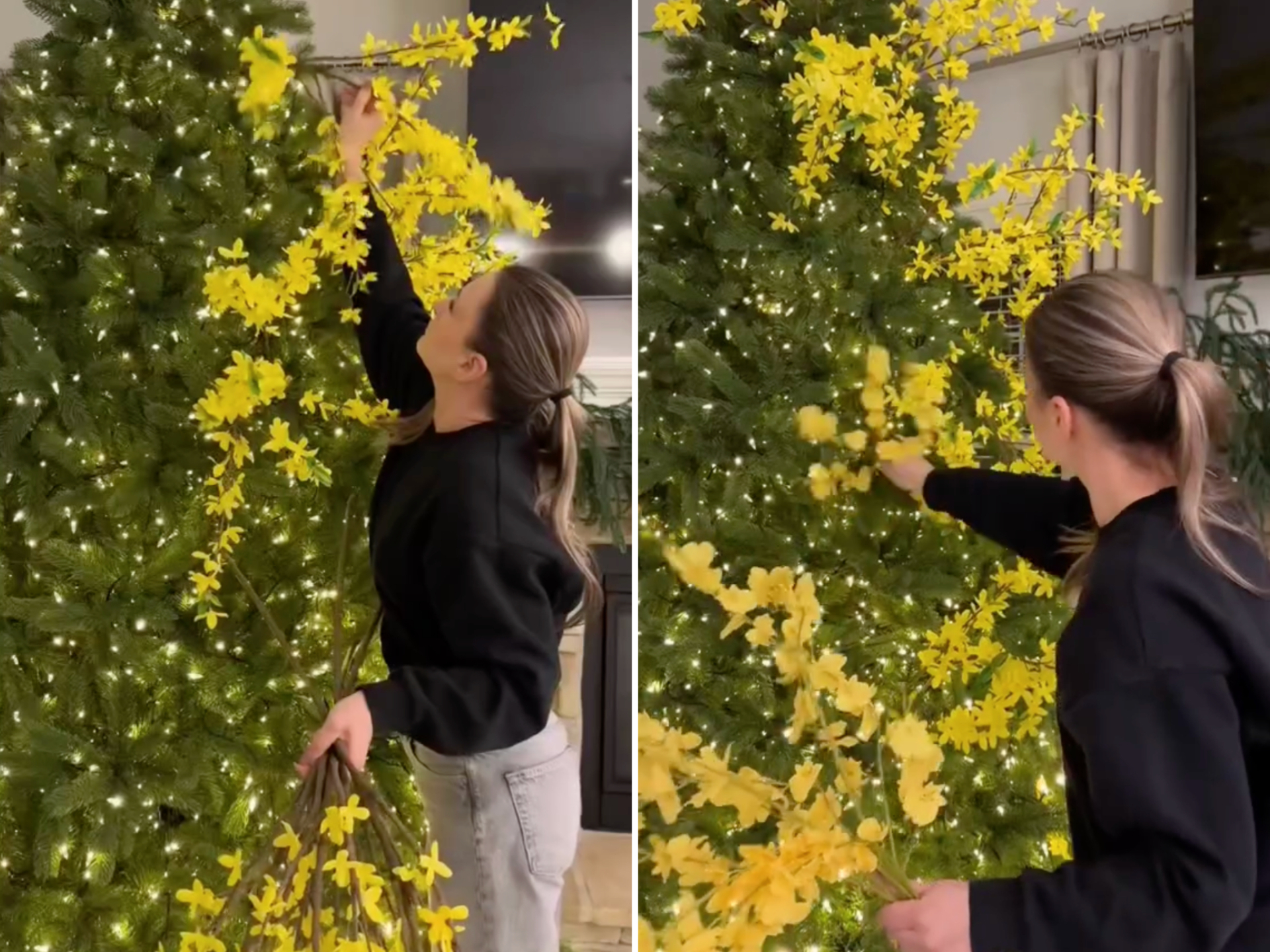 Tha cho cây thông Noel đi, Tết còn tận 3 tháng nữa mới đến