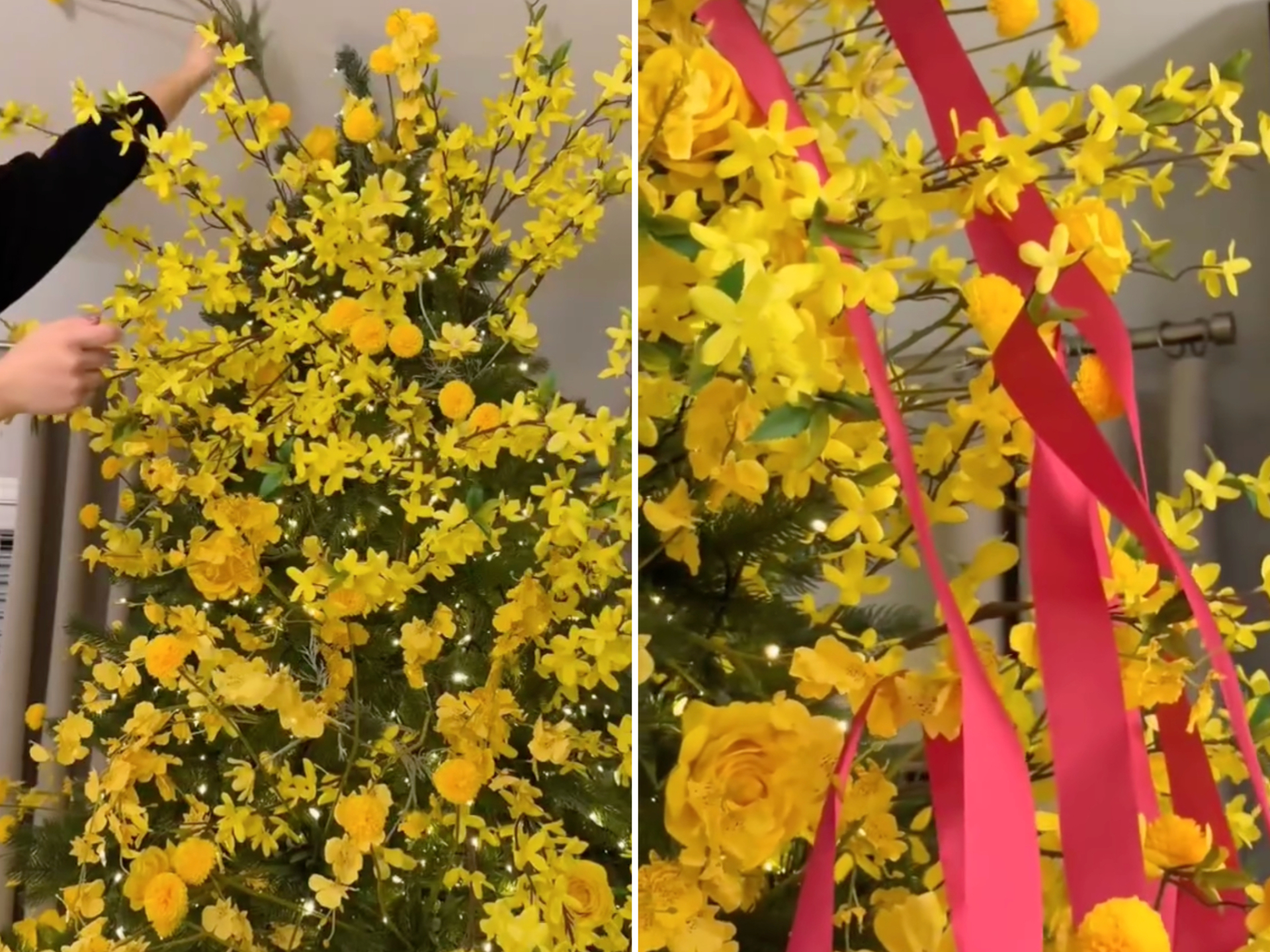 Tha cho cây thông Noel đi, Tết còn tận 3 tháng nữa mới đến