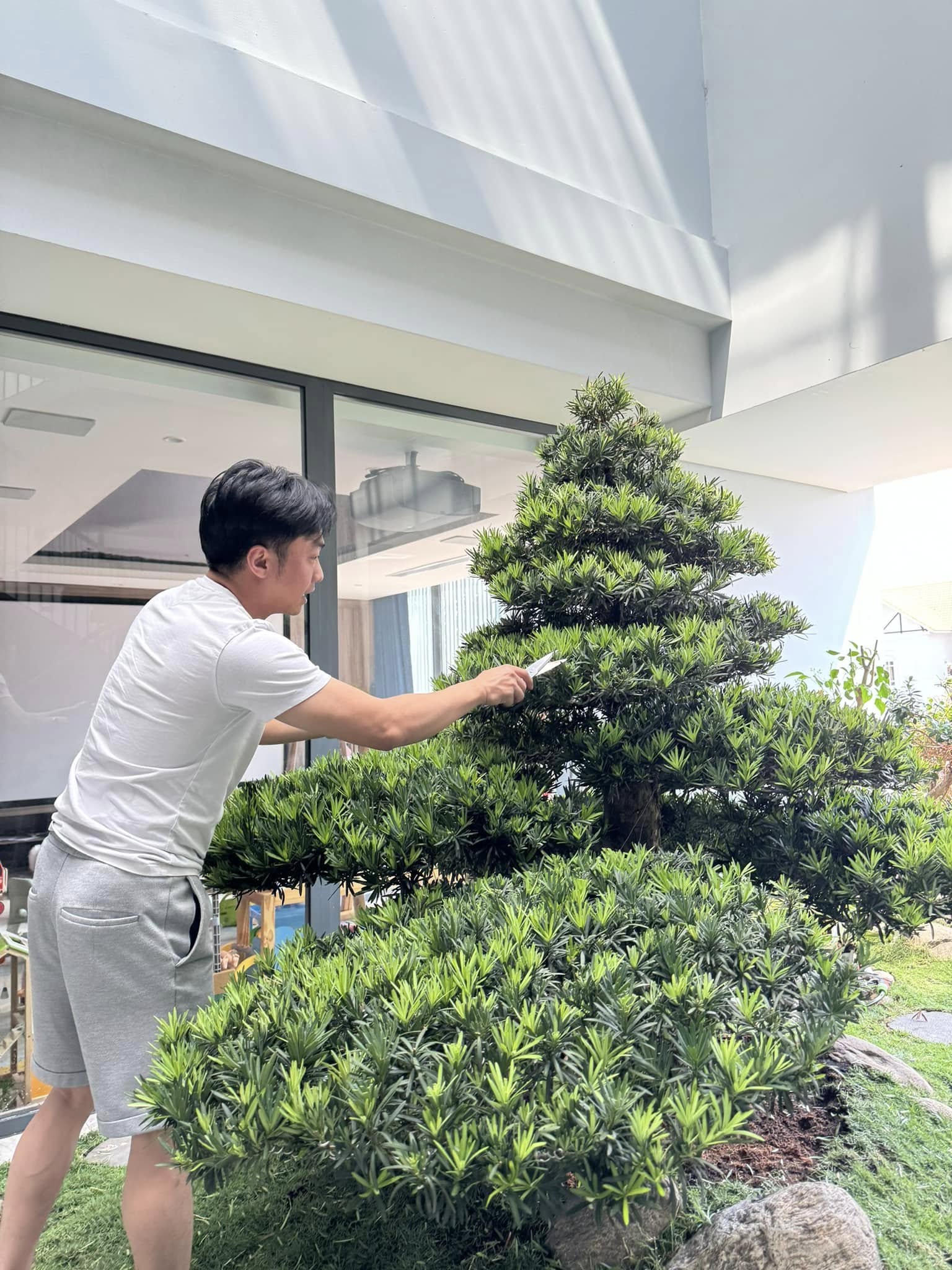 Điều Cường Đô La muốn giấu