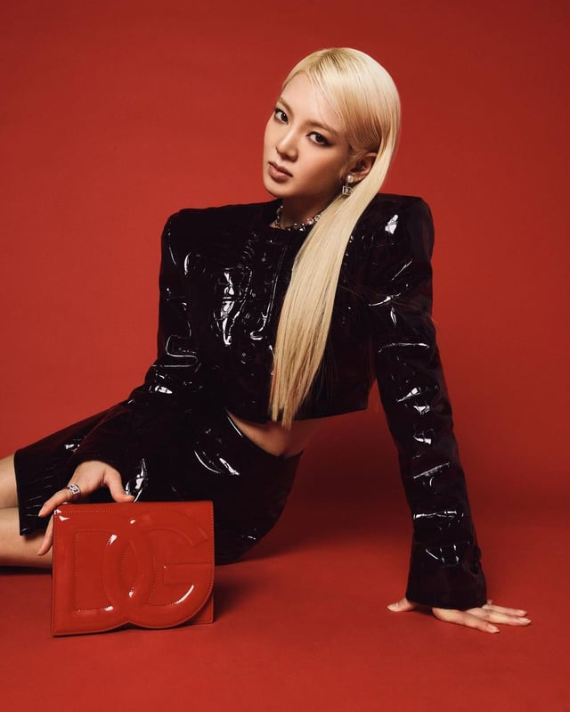 Cô còn có sự nghiệp solo thành công. Ảnh: Reddit