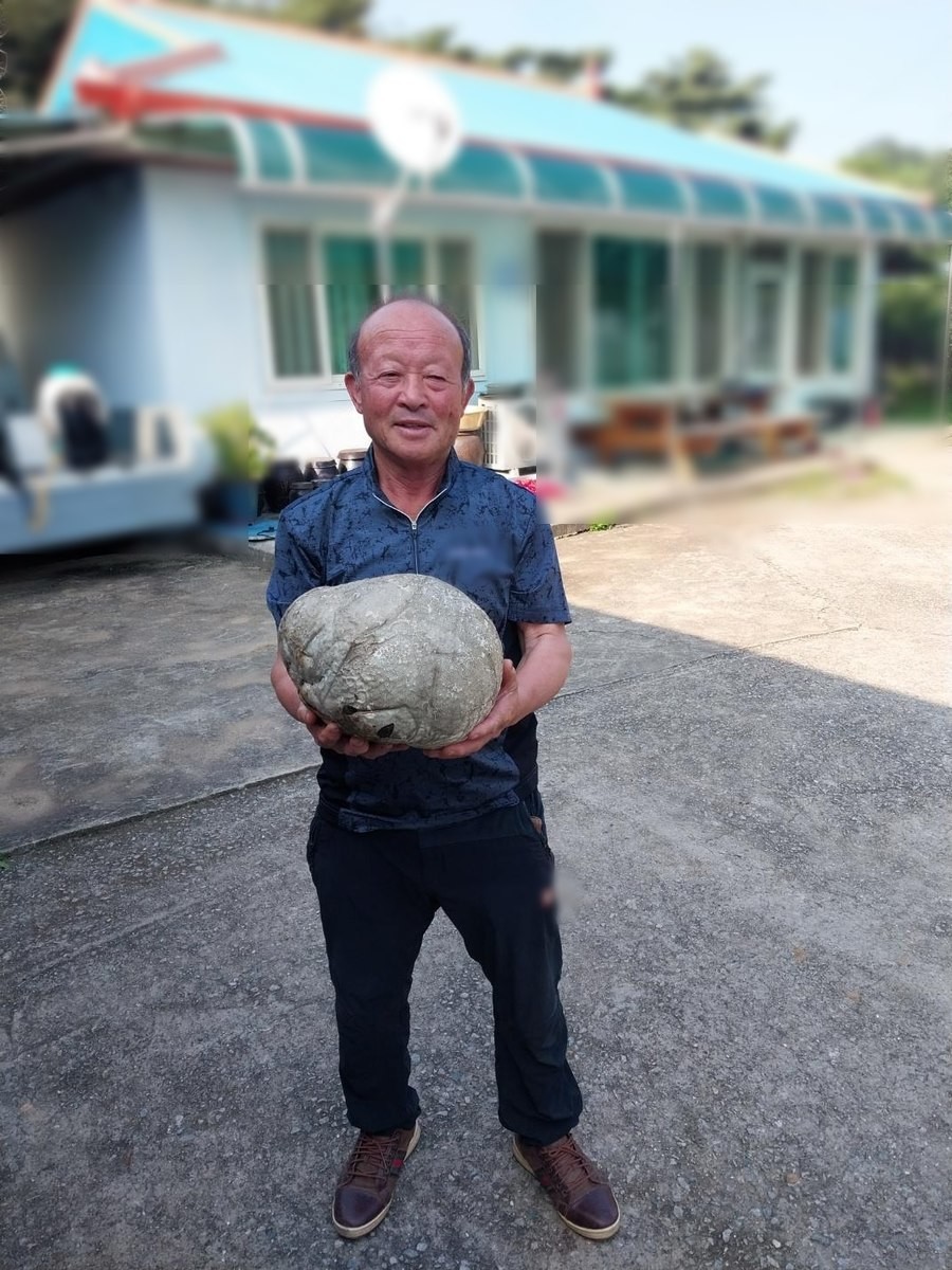 Người nông dân nhặt được cây nấm quý