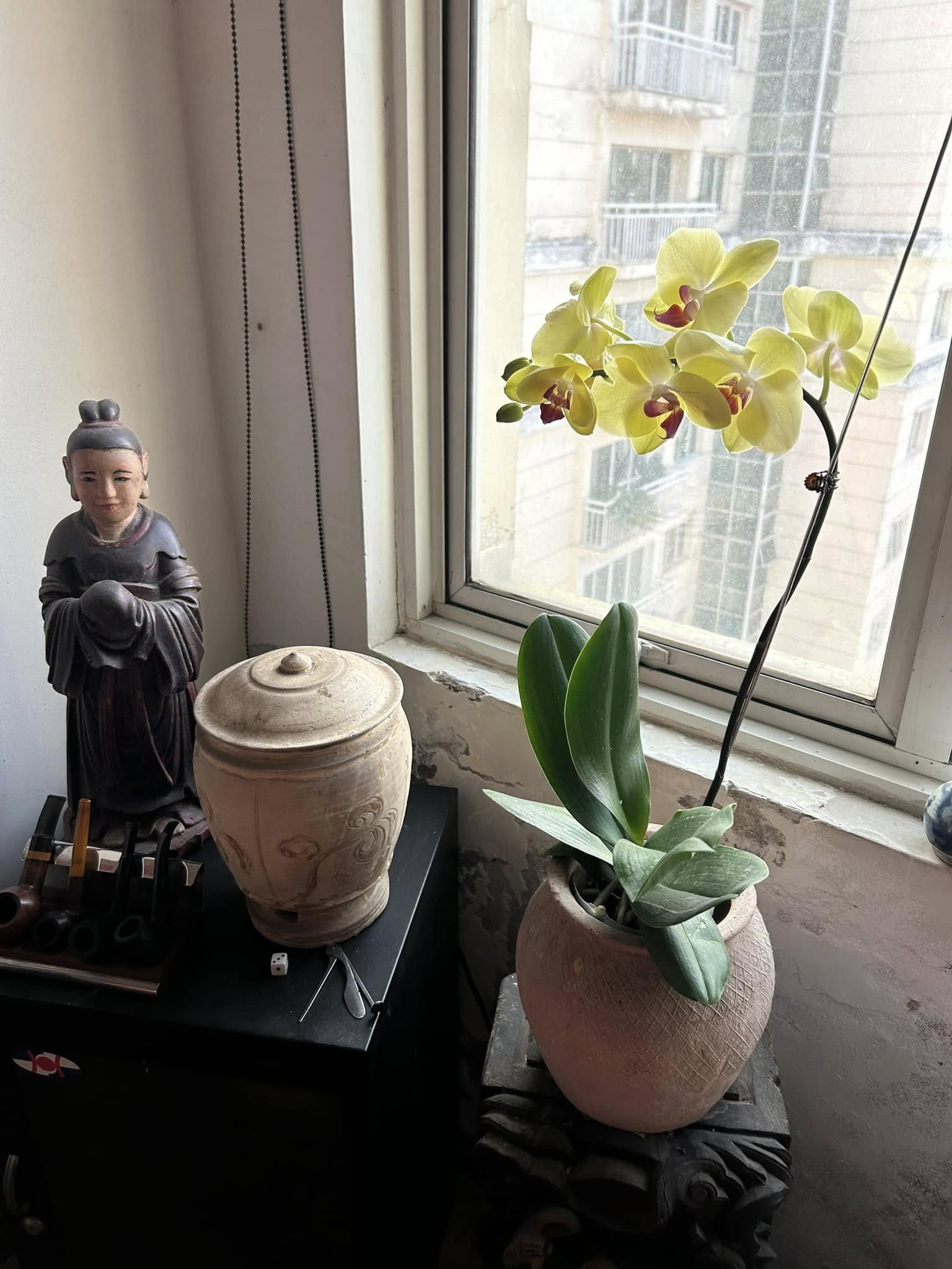 Được biết căn nhà toạ lạc ở Hà Nội, bên trong được bày trí đơn giản, trưng bày nhiều món đồ cổ, tranh vẽ nghệ thuật