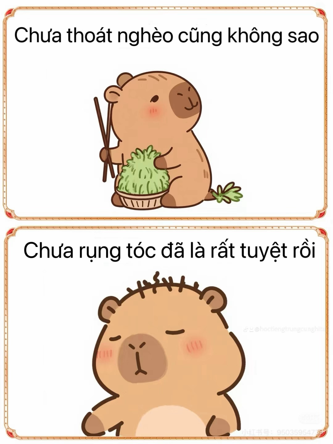 “Không PHÁT TÀI cũng không sao, không PHÁT ĐIÊN là may rồi”