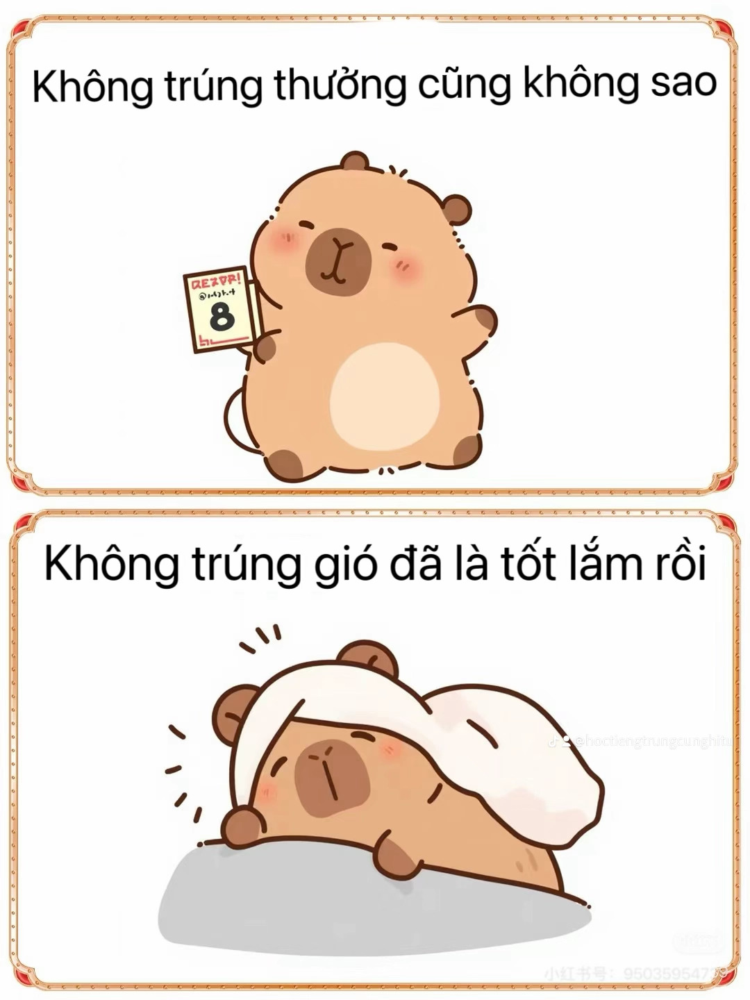 “Không PHÁT TÀI cũng không sao, không PHÁT ĐIÊN là may rồi”