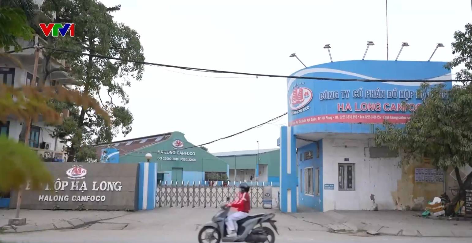 Cơ quan chức năng đã bắt giữ, khởi tố bị can đối với 9 đối tượng về hành vi vi phạm các điều kiện về an toàn thực phẩm. Vụ việc đang được cơ quan chức năng TP Hải Phòng tiếp tục điều tra, làm rõ. (Ảnh: VTV1)