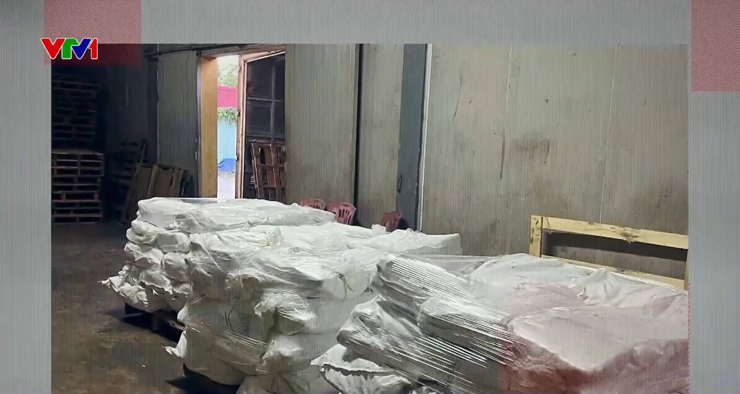 Qua hai đầu mối thu gom, số thịt lợn bệnh, lợn dịch sẽ đến điểm cuối là một cơ sở chế biến thực phẩm có tiếng để tiêu thụ  (Ảnh: VTV1)