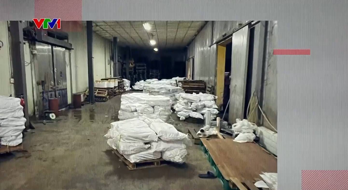   Theo VTV, thịt chảy nước, ôi, thiu là biểu hiện của số thịt lợn bị nhiễm dịch tả lợn châu Phi khi các đối tượng vận chuyển số hàng này (Ảnh: VTV1)  