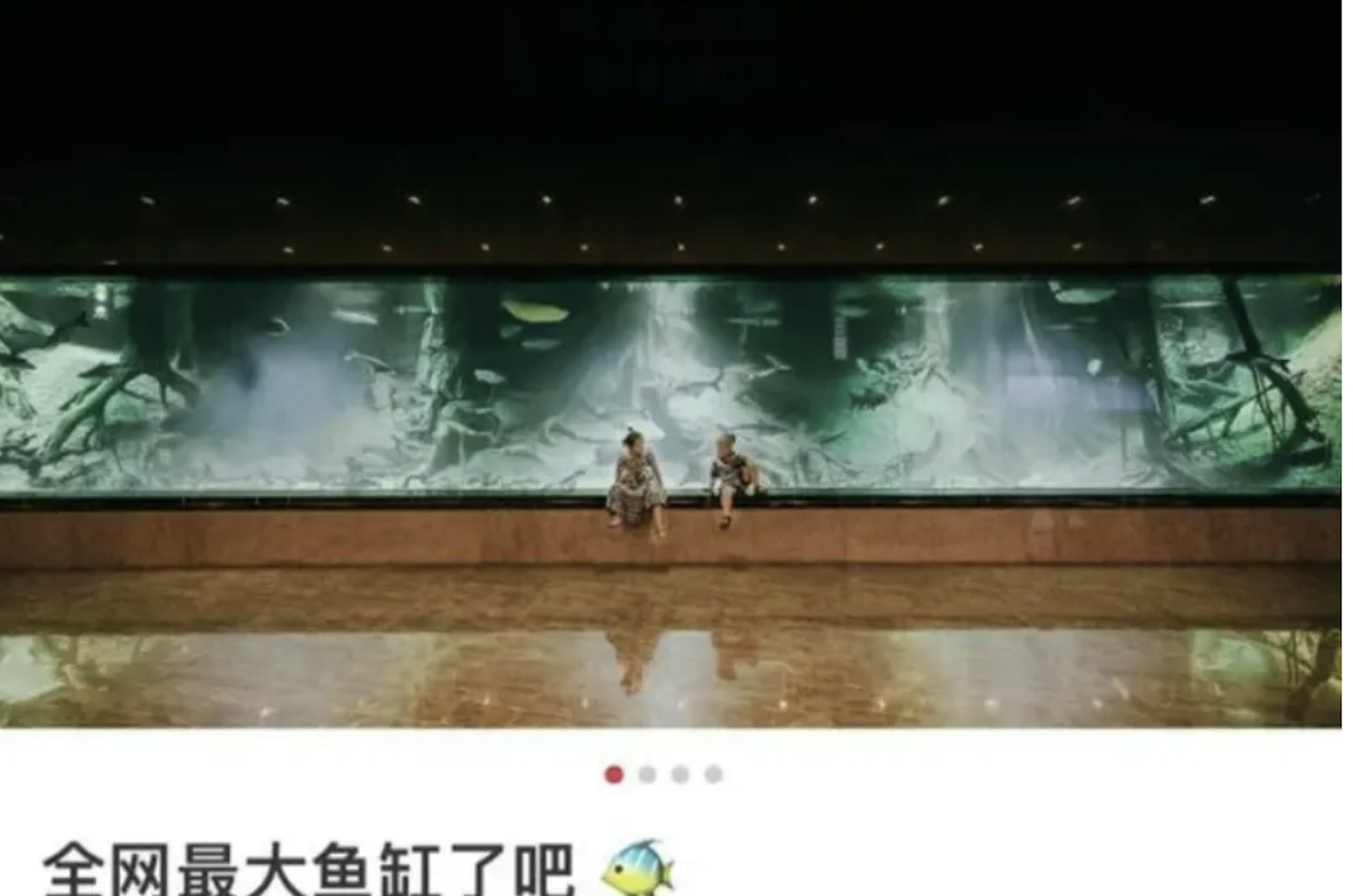 Bể nuôi cá mập trong nhà