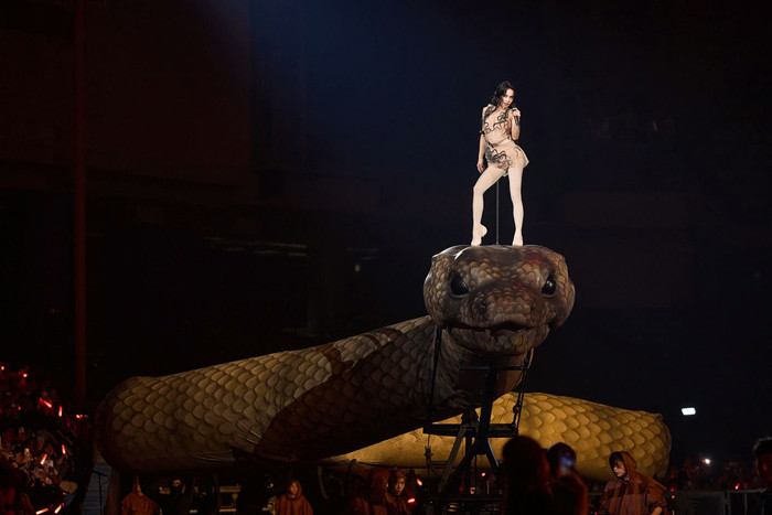 Mỹ nhân không tuổi lỗ nặng 263 tỷ đồng vì concert “trăn khổng lồ”, đối diện nguy cơ cấm sóng