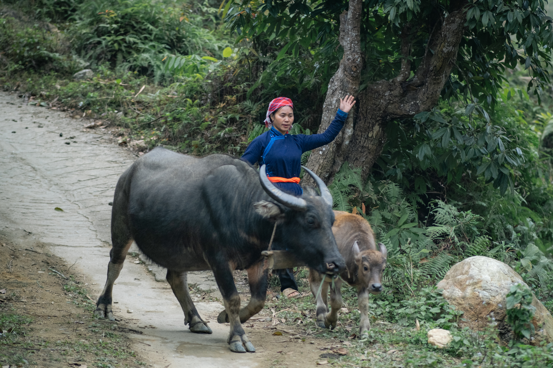Cầu gì hơn những buổi cà phê đậm đà bên nhau: Khi Tết ở Bản Liền bắt đầu từ khoảnh khắc giản dị nhất