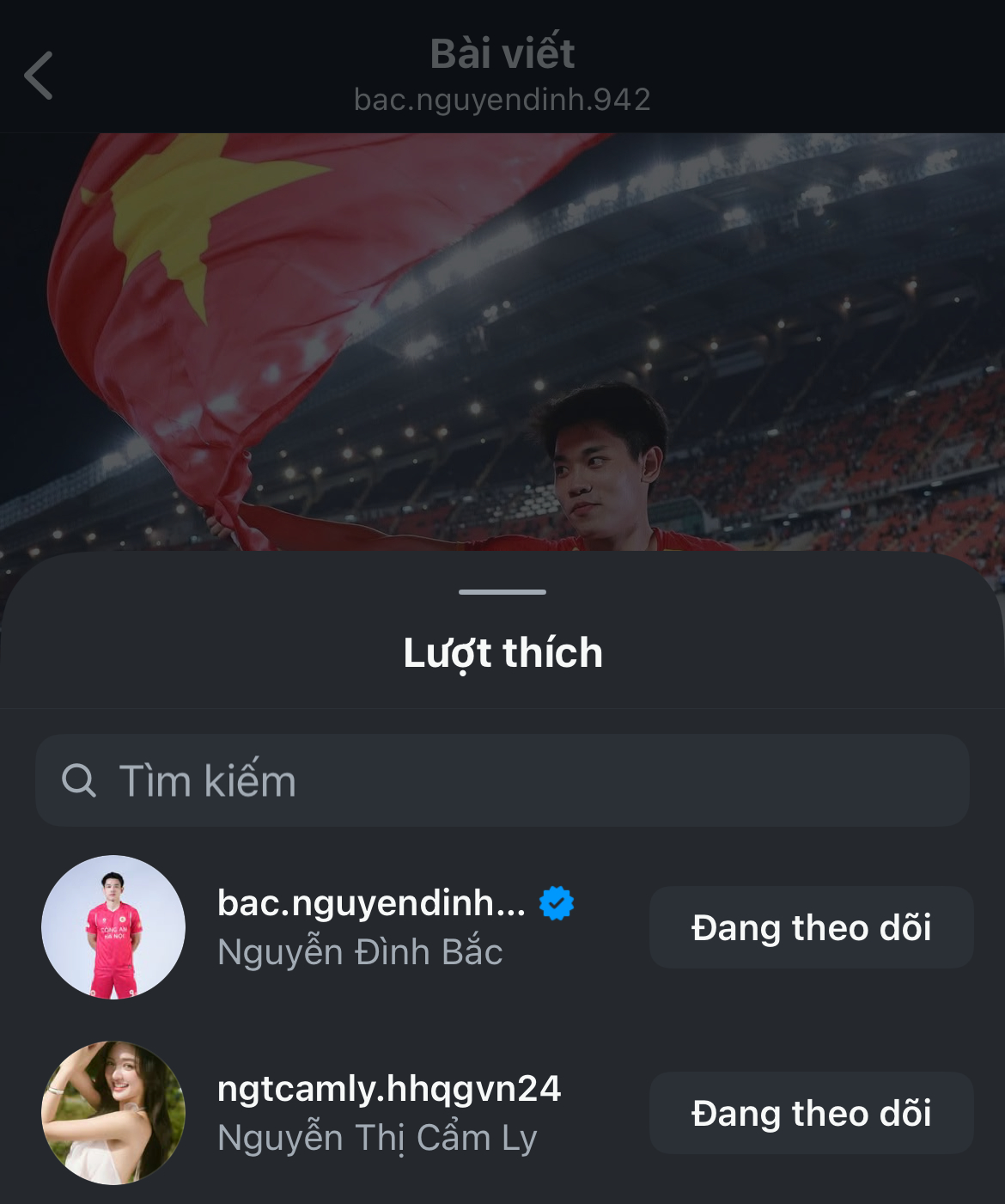 Cẩm Ly cũng thả tim cho Đình Bắc (Ảnh chụp màn hìnn)