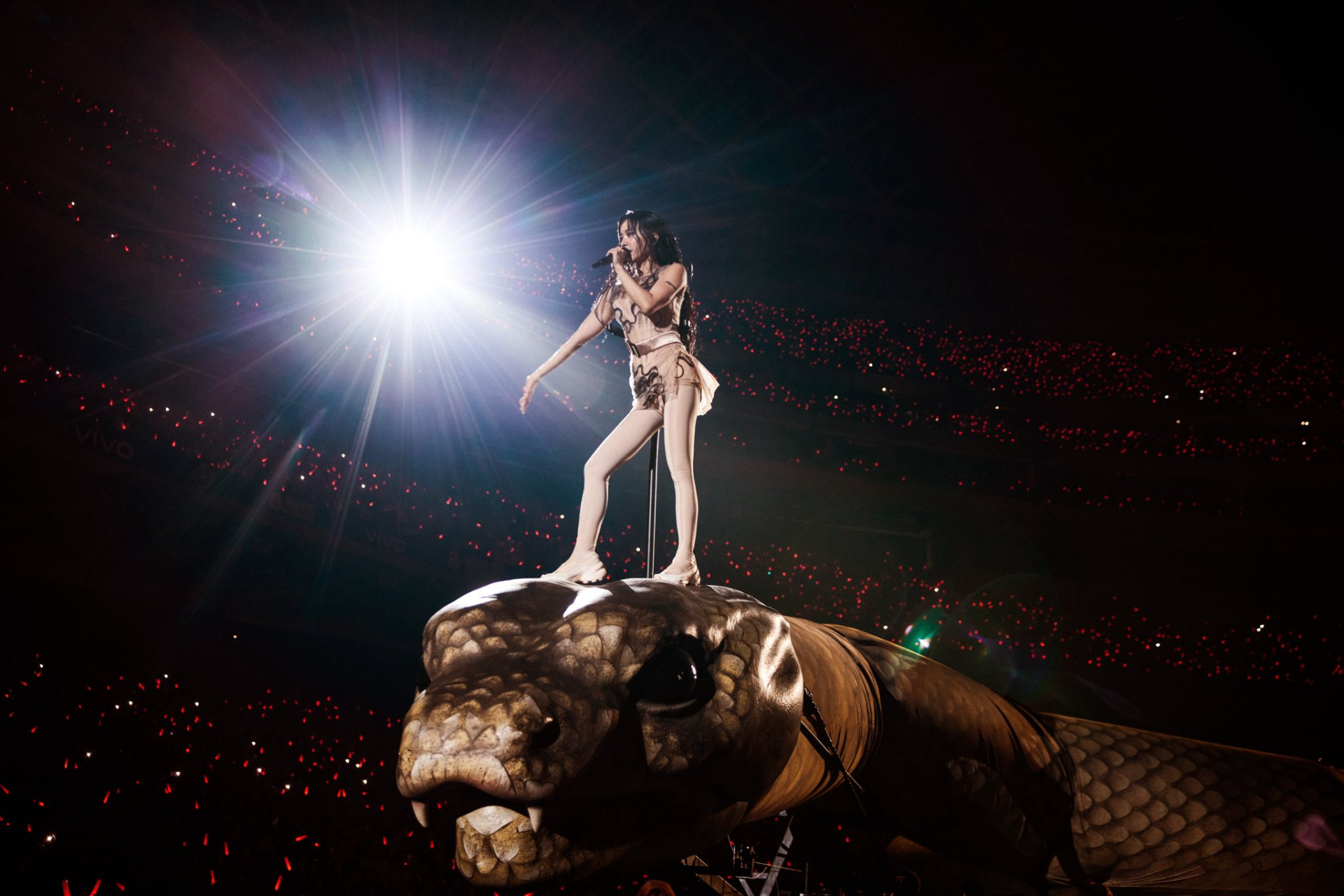 Thái Y Lâm và 3 concert ở Đài Loan (Trung Quốc) vừa qua khiến không ít người lo sợ