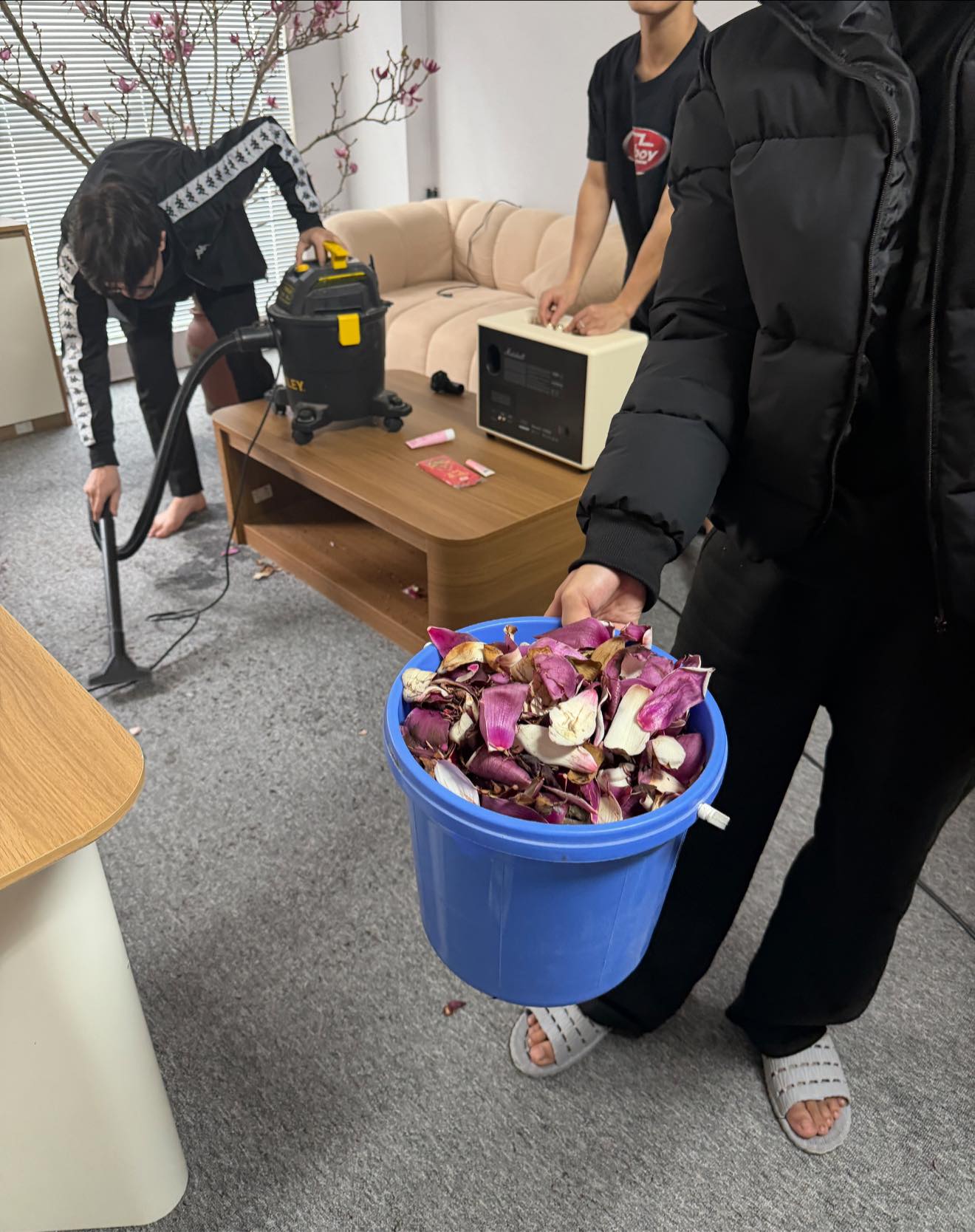   Chủ nhân cành hoa này chọn loại nở sẵn vì nghĩ không thể chăm được và kết quả là chưa đầy 1 tuần đã tàn, chưa kể “kiếp nạn” hoa rụng từ sofa xuống thảm, nhuỵ dính vàng khè và… không tẩy được (Ảnh: Cẩm Ly)  