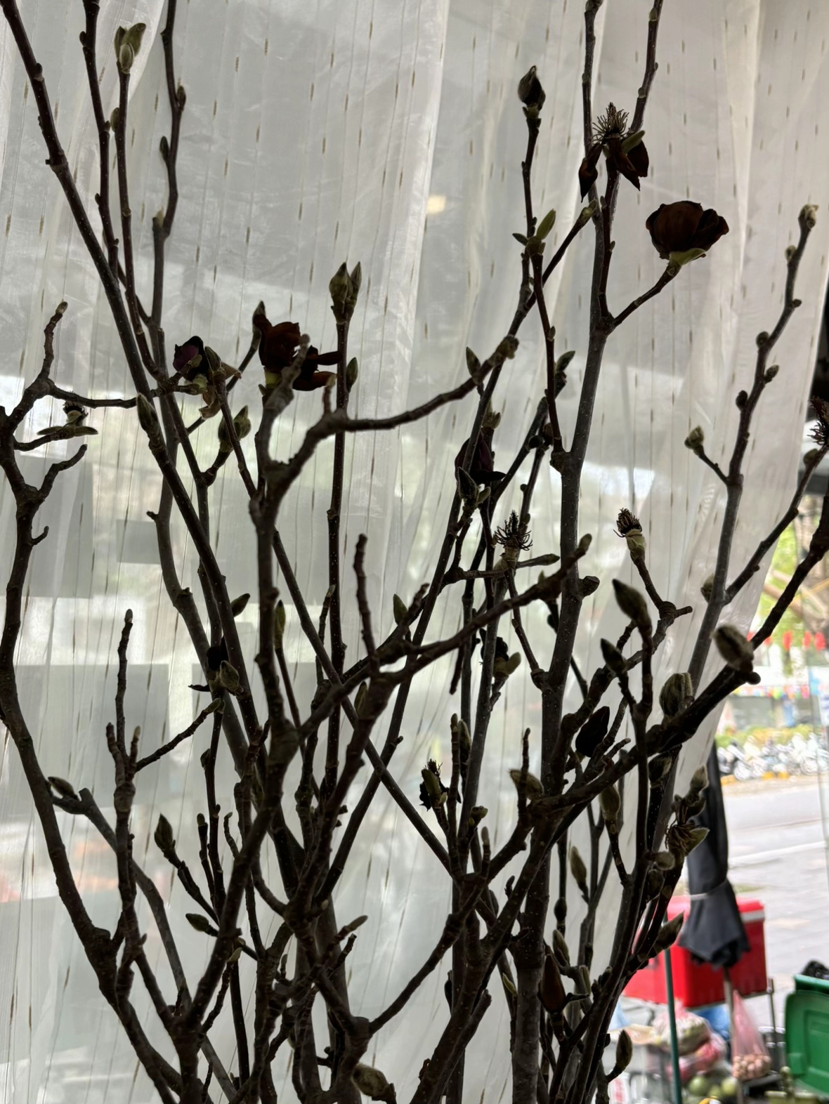 “Môn thể thao mạo hiểm” nhất Tết Ngựa gọi tên Hoa Mộc Lan! 