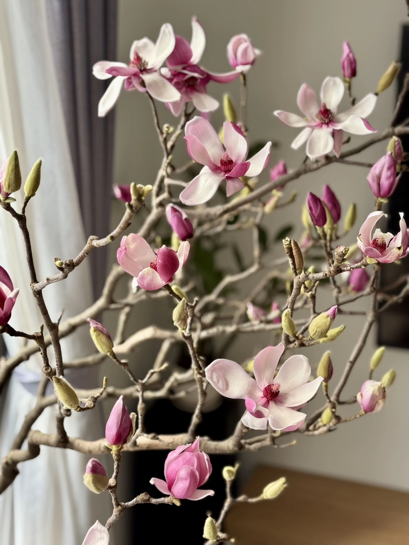 Nhả vía để ai cũng có được bình hoa mộc lan xinh xắn nhé!(Ảnh: @max.min)