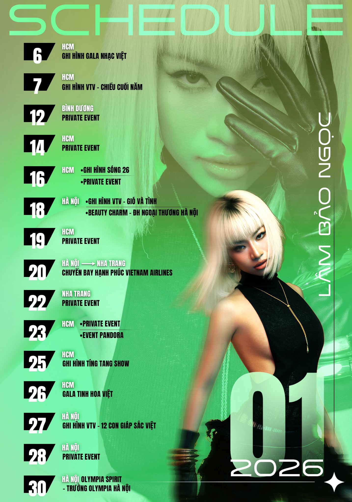 Lâm Bảo Ngọc gây chú ý khi công bố lịch làm việc tháng 1 với mật độ dày đặc (Ảnh: FBNV)