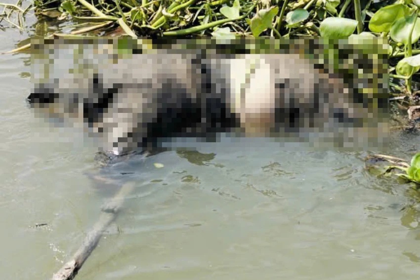 Nam thanh niên 24 tuổi tử vong dưới sông Tắc sau khi gọi điện cho bố. Ảnh: Báo Pháp luật TP.HCM