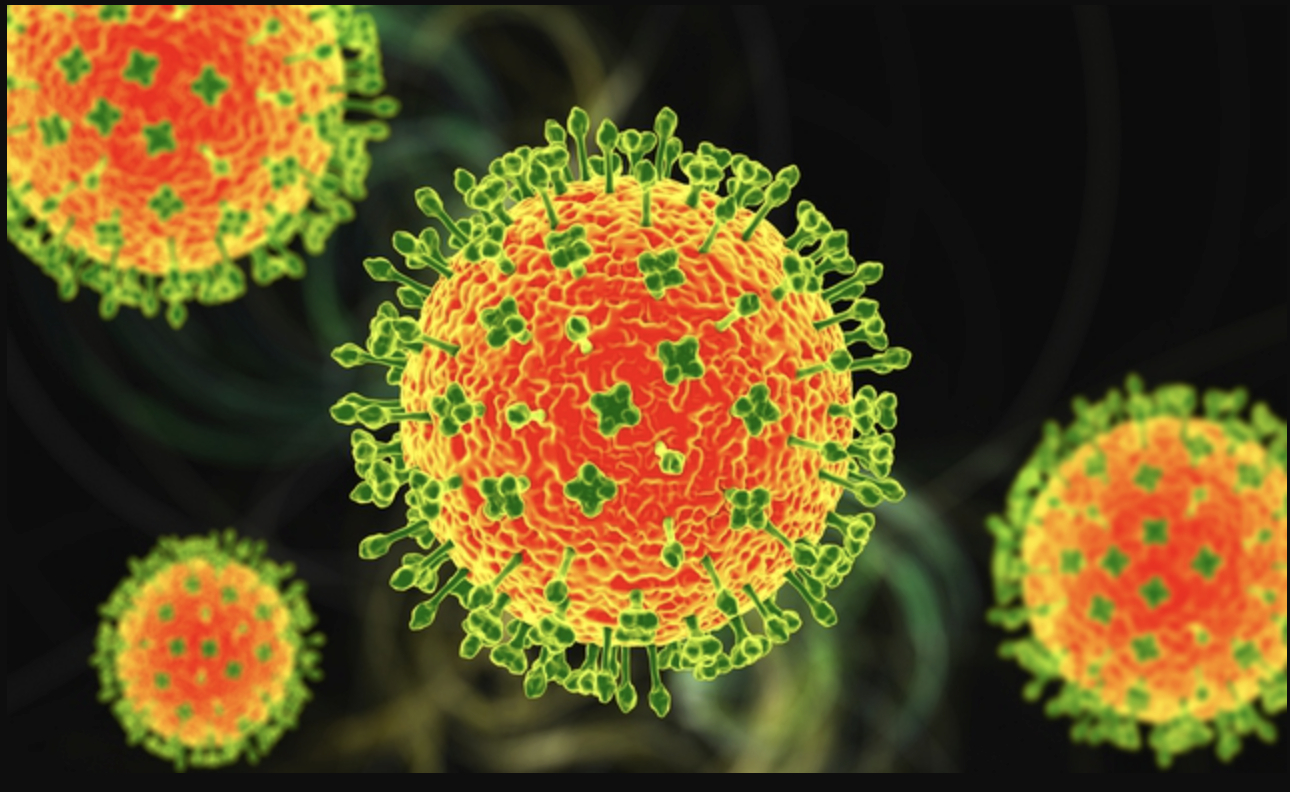 Toàn cảnh virus Nipah: Mối đe dọa âm ỉ khiến thế giới luôn trong trạng thái báo động