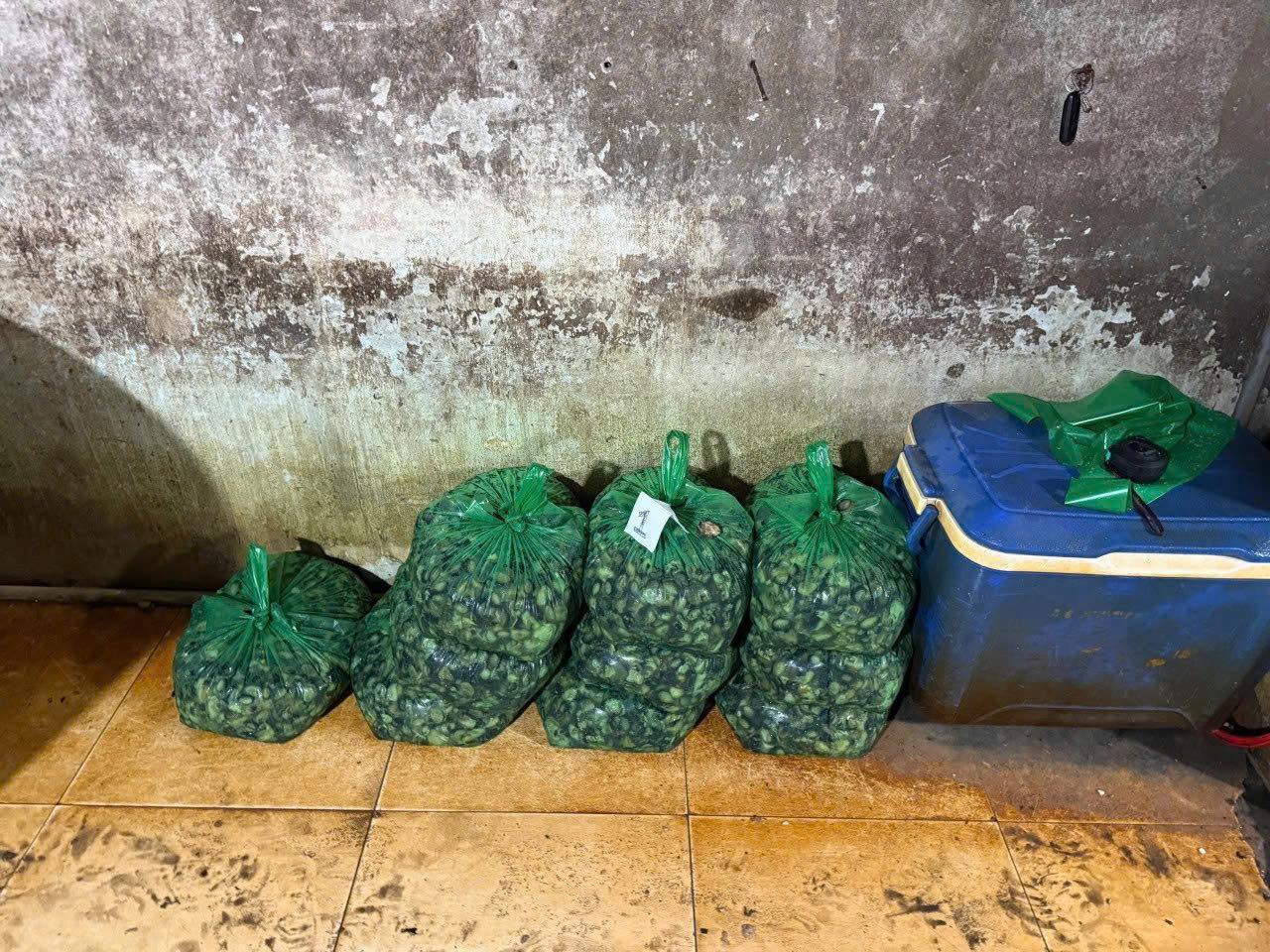 Ảnh: Bộ công an