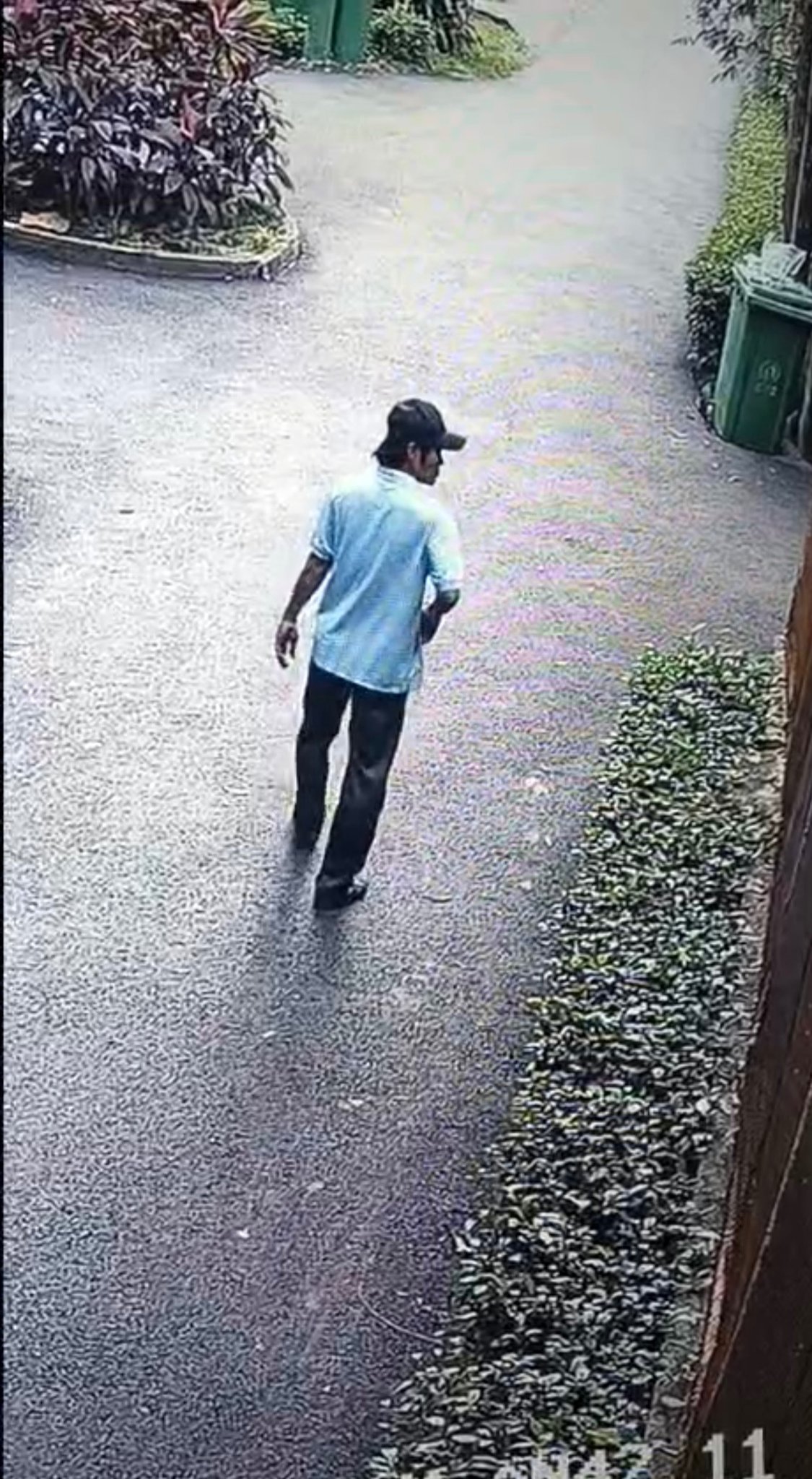 Hình ảnh đối tượng được ghi lại (Ảnh: Thảo Cầm Viên Sài Gòn)