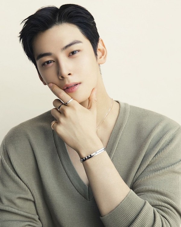 Cha Eun Woo bị bóc trần trốn thuế với số tiền lên đến 20 tỷ won (356 tỷ đồng) (Ảnh: X)