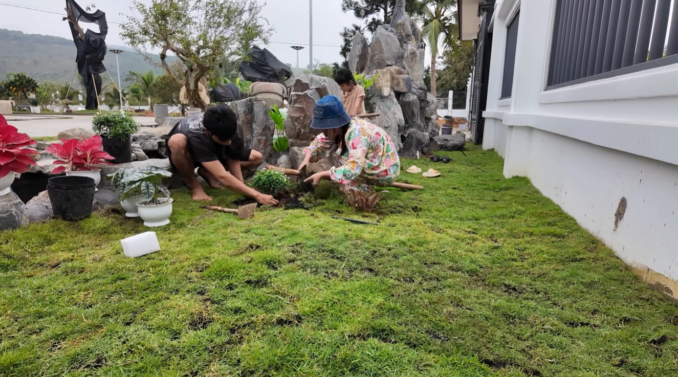 Khu vườn và tiểu cảnh đang hoàn thiện