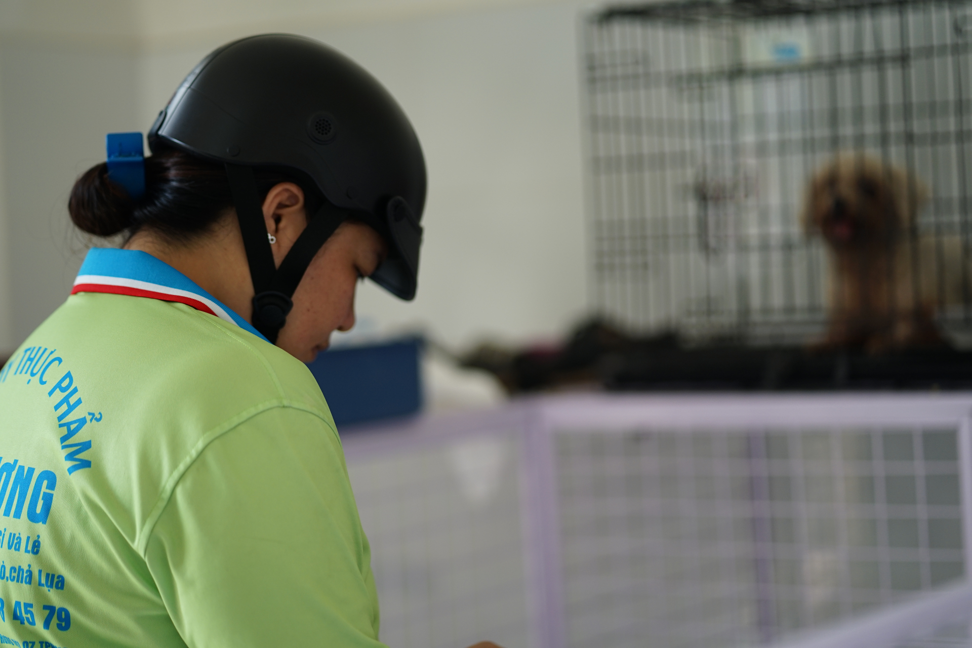   Một trường hợp khác cho biết mèo của mình đã mất gần nửa tháng. Dù đã tìm kiếm ở nhiều nơi, người này vẫn chưa thể xác định được thú cưng trong số các cá thể đang được chăm sóc có phải là mèo của mình hay không.  