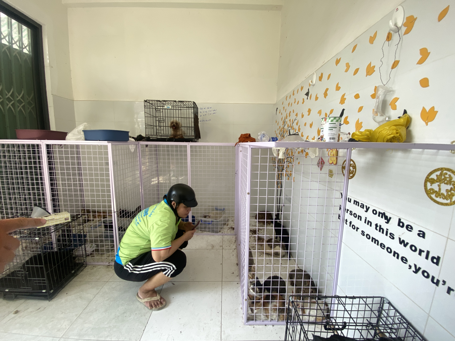 Những ngày qua, trụ sở Công an phường Tân Hưng trở thành nơi nhiều người dân tìm đến với chung một hy vọng là có thể gặp lại thú cưng đã thất lạc