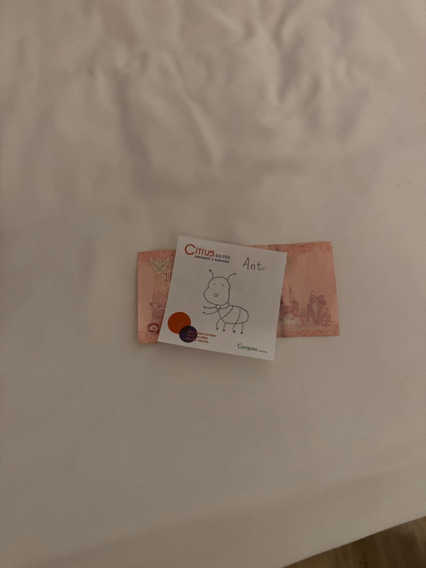 Khách Tây chi 100 nghìn thử thách nhân viên khách sạn, sững sờ nhận về nguyên con cá sấu khổng lồ