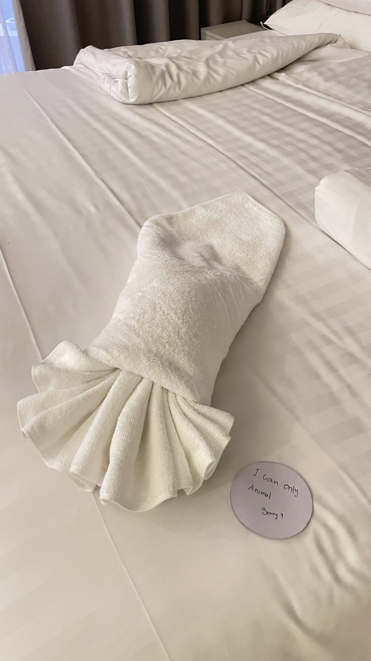 Ảnh: @_jason._.yang_