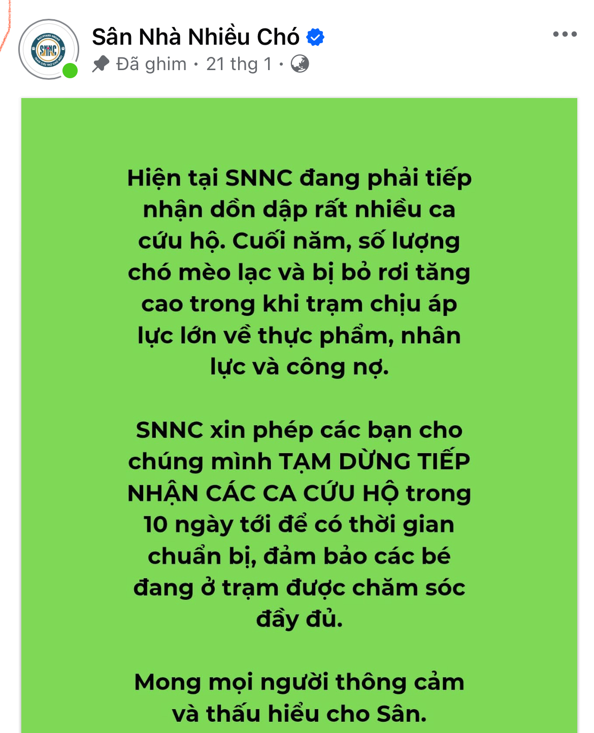 Chó mèo bị chủ vứt bỏ gần Tết, gặp nạn và bị bạo hành tăng đột biến: Các trạm 