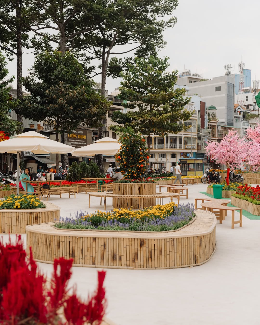   Công viên chợ Quán rực rỡ sắc hoa. Ảnh: @chupchoetsaigon  
