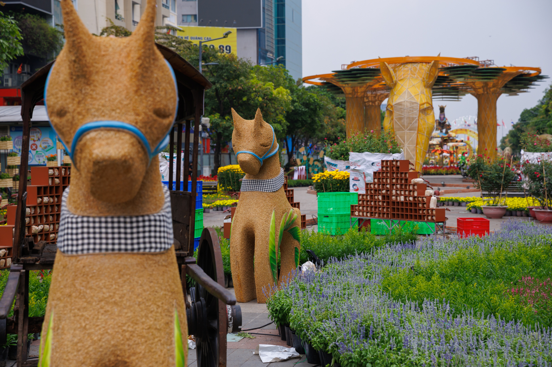   Đường hoa Nguyễn Huệ chuẩn bị mở cửa đón khách  