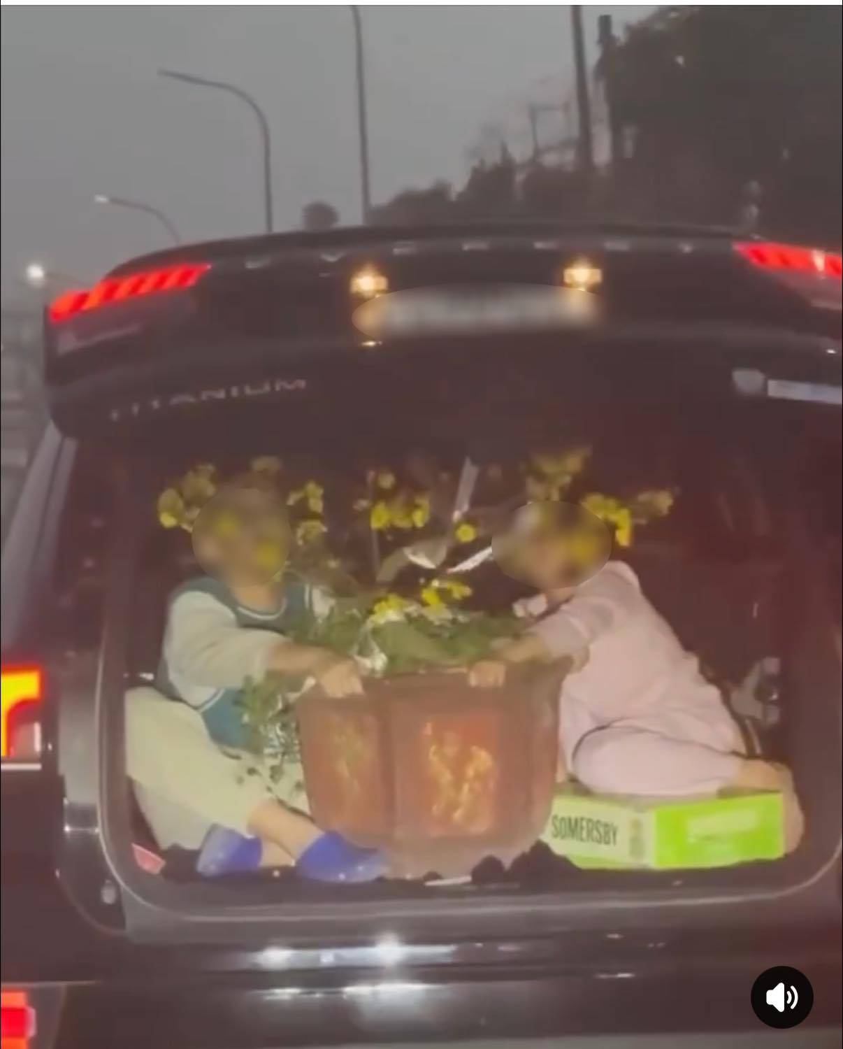 Hình ảnh được ghi lại thu hút sự chú ý của nhiều người