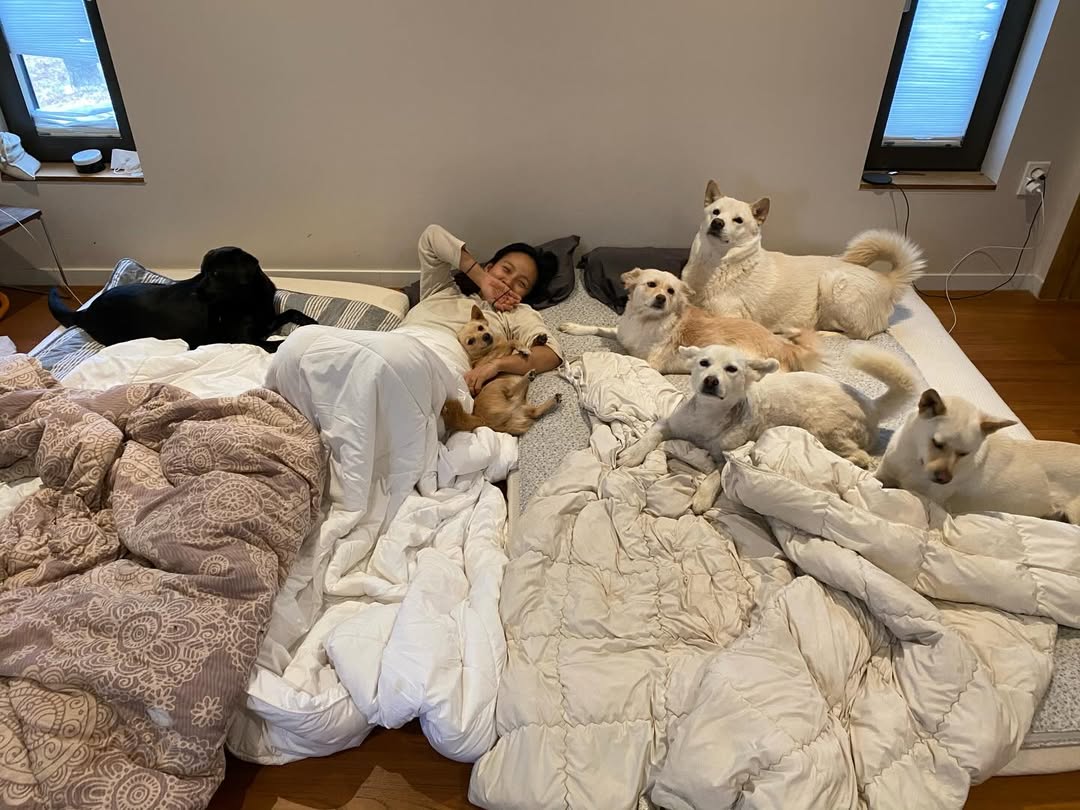 Lee Hyori đã làm gì mà bị dân mạng tấn công?