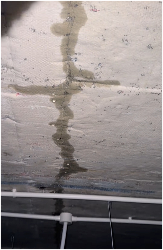 Nấu tôm hùm, vịt quay đãi thợ xây trong 3 tháng, mới dọn vào ở đã nứt trần, mưa dột xối xả: TikToker miền Tây 