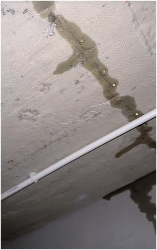 Nấu tôm hùm, vịt quay đãi thợ xây trong 3 tháng, mới dọn vào ở đã nứt trần, mưa dột xối xả: TikToker miền Tây 