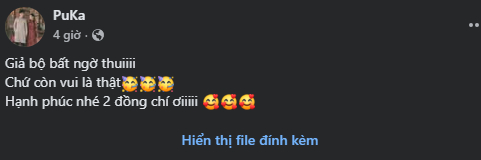   Dàn sao Việt đã chia sẻ lại bài đăng của Hòa Minzy và gửi lời chúc mừng. Nguồn: Chụp màn hình   