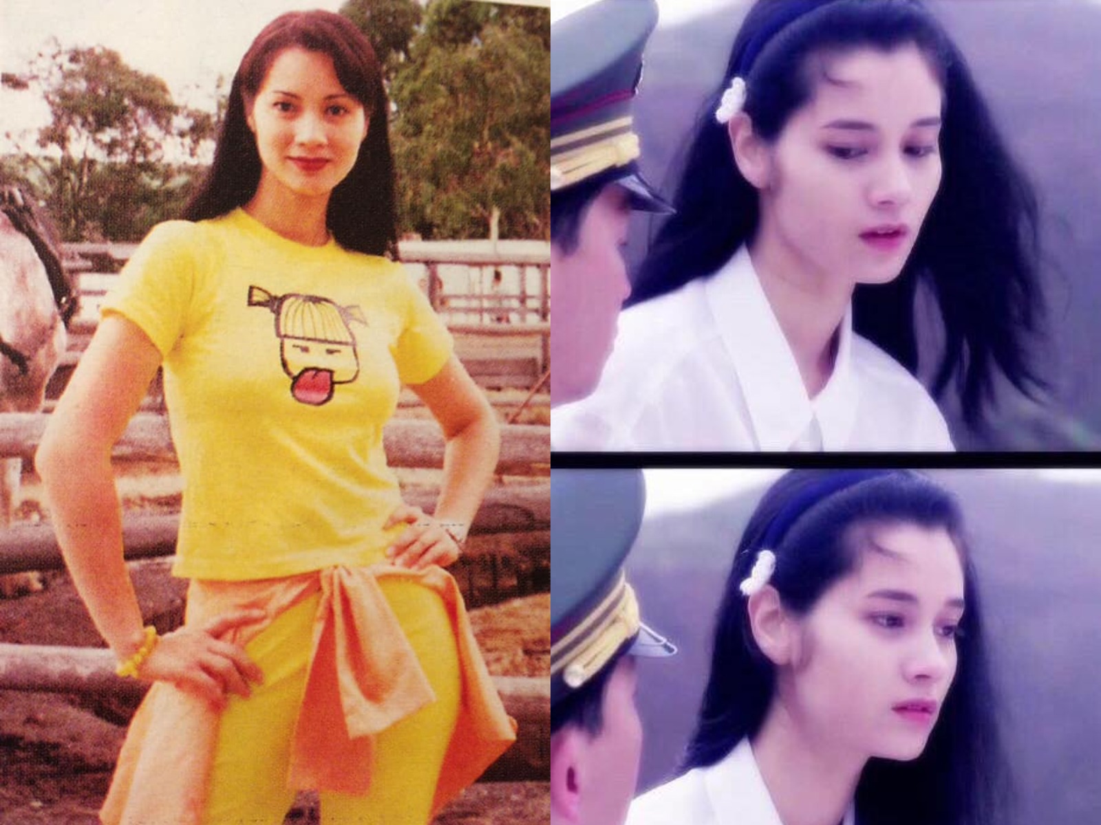 Trịnh Diễm Lệ từng là ngọc nữ nức tiếng của đài TVB. Ảnh: Sina.