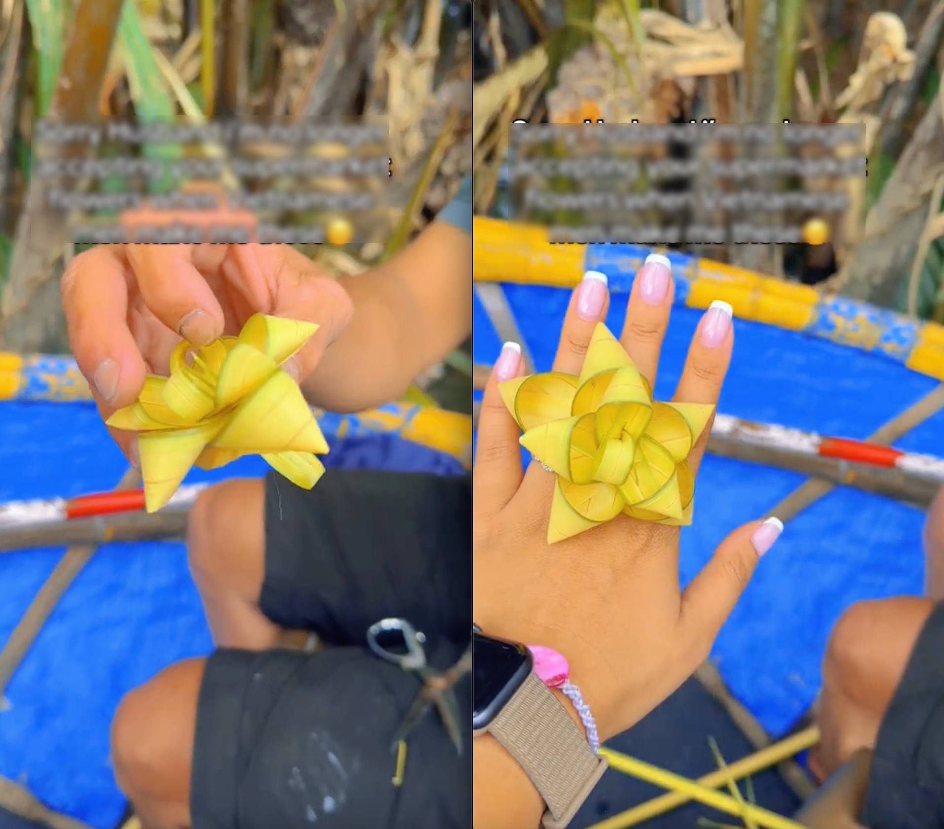 (Nguồn: @ellisfamily_adventures)