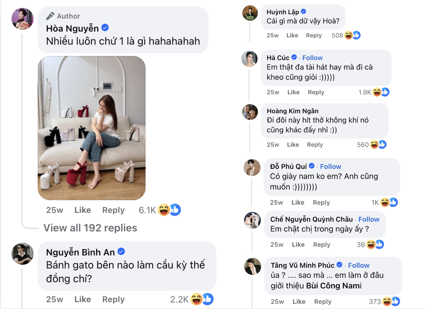 Trang cá nhân của nữ ca sĩ nhiều lần trở thành tụ điểm nói cười, trong tình huống này cũng vậy (Ảnh chụp màn hình).