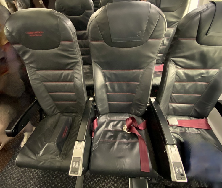 (Ảnh: Japan Airlines)