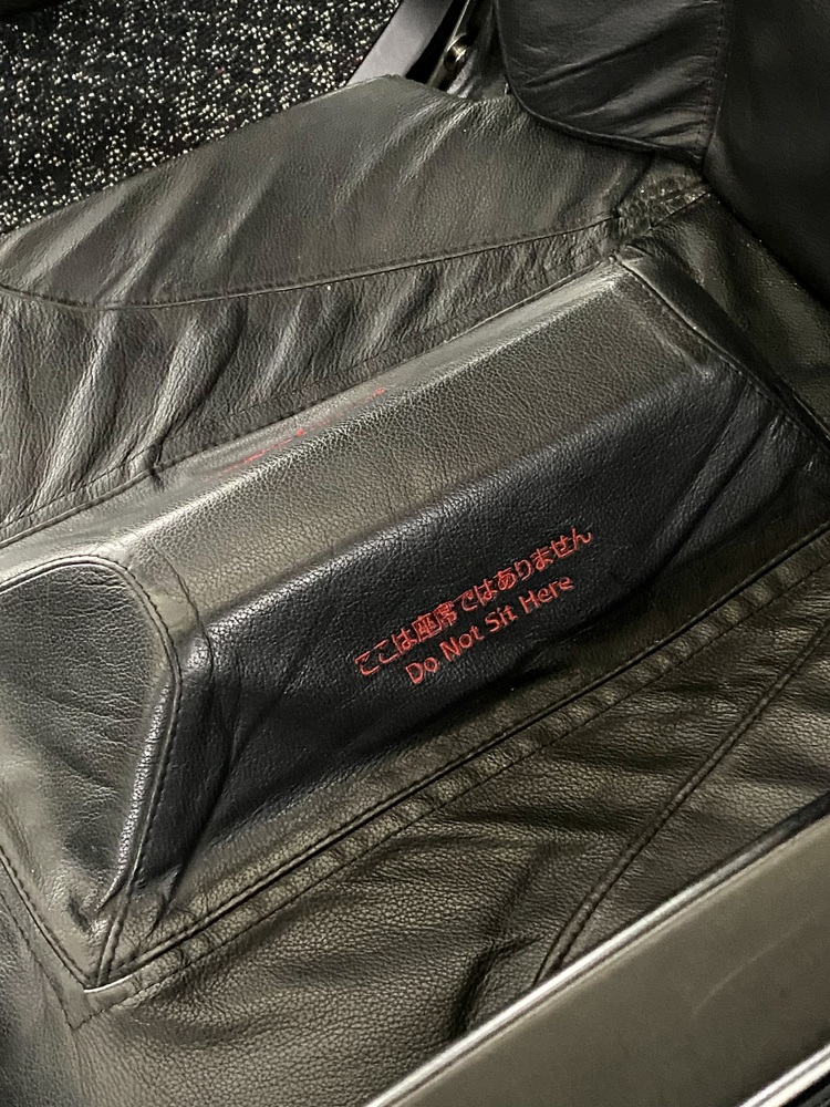 (Ảnh: Japan Airlines)