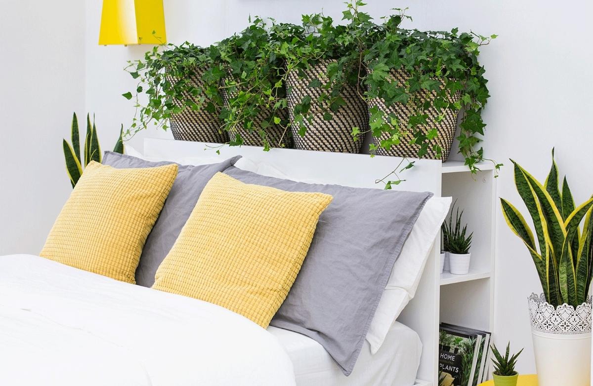 Nhìn ngay đầu giường: Thấy 3 thứ này thì nên dọn sớm, càng để lâu càng dễ xui xẻo