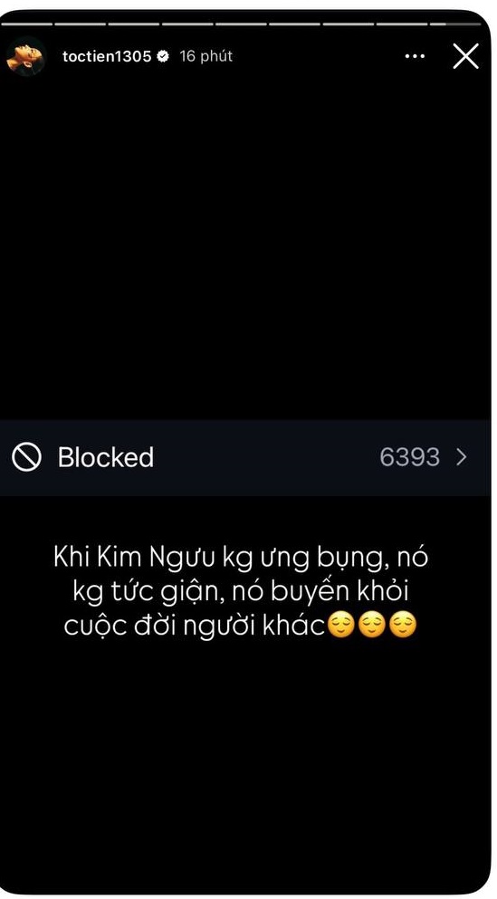 Tóc Tiên bất ngờ công khai đã block 6393 tài khoản MXH trên Instagram 