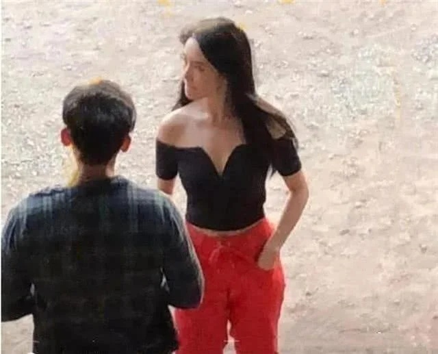 Lý Thần và Thạch Thuần Tử trong dự án phim chung