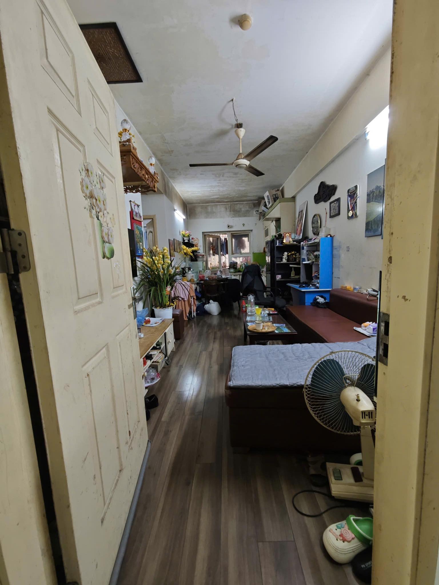 Nhiều khu vực tường nhà bên trong căn hộ mốc meo, ẩm thấp