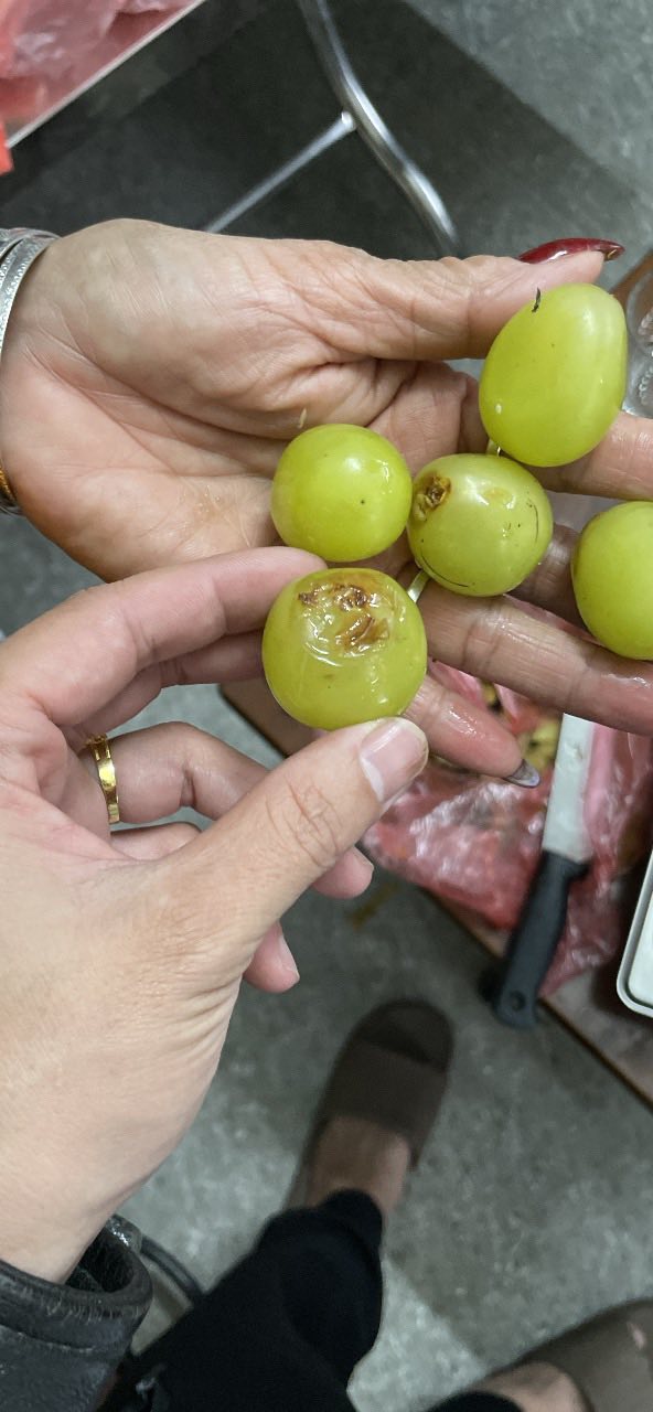 Một vài hình ảnh hoa quả trong tráp hỏng do chú rể chụp và chia sẻ.