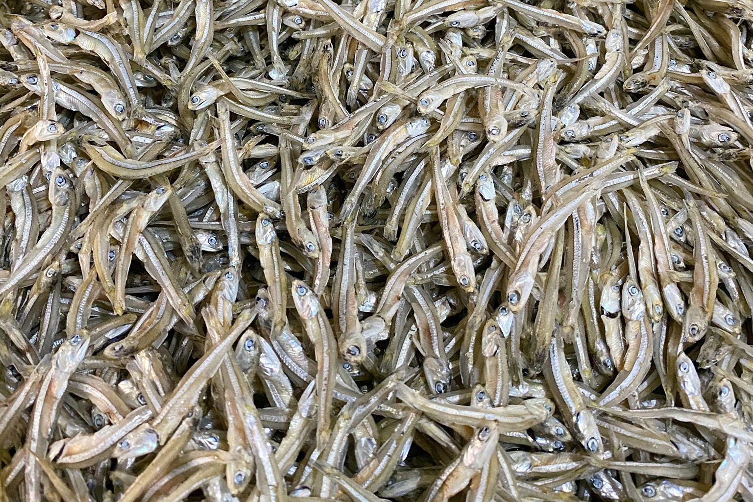 10 loại cá bình dân nhưng bổ ngang cá hồi, ra chợ là mua được